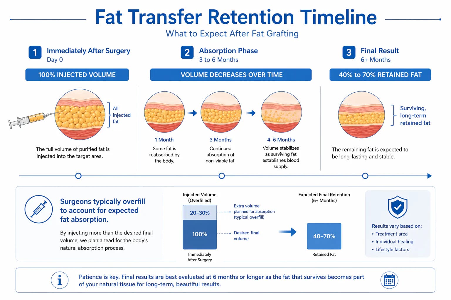 fat graft survival timeline: how transferred fat integrates and what percentage is retained at 6 months